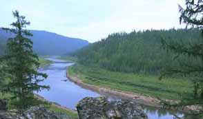 Northern river flowing through taiga